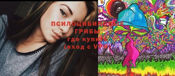 мяу мяу кристалл Алексин