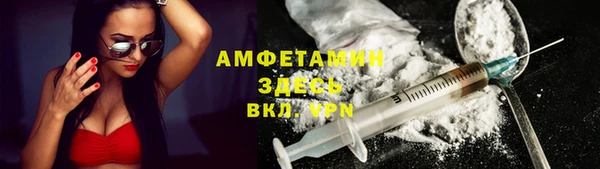 индика Абинск