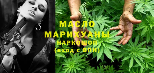 индика Абинск