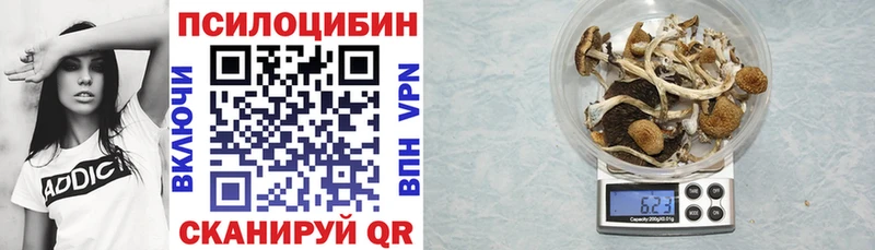 как найти закладки  Тогучин  даркнет как зайти  Псилоцибиновые грибы Psilocybine cubensis  блэк спрут сайт 